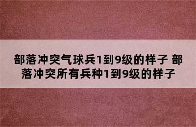 部落冲突气球兵1到9级的样子 部落冲突所有兵种1到9级的样子